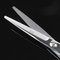 (Hair Cutting) 6 Regular Convex Edge Hairdressing Scissors